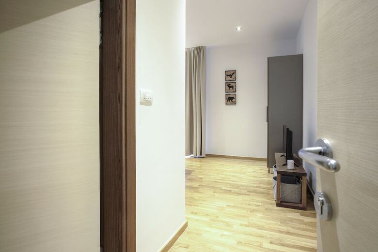 Brze?e Center Apartments