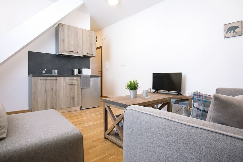 Brze?e Center Apartments