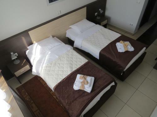 Hotel Albo