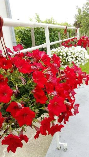 Selters Sun Holiday Home