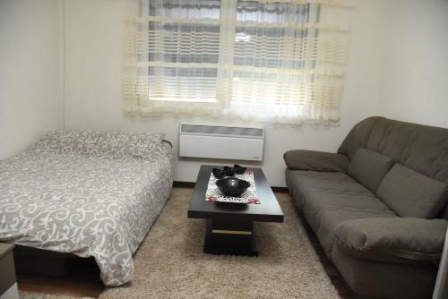 Apartment Sofronic