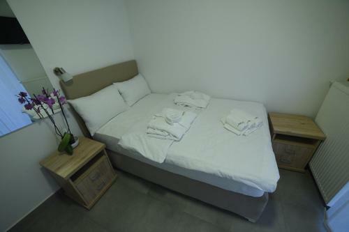 B&B Apostolovi?
