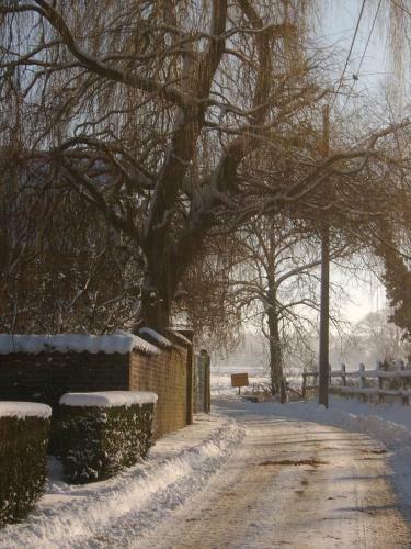 B&B De Pepelinck