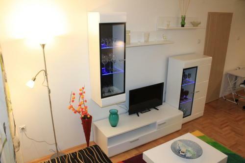 Modern City Center Apartment