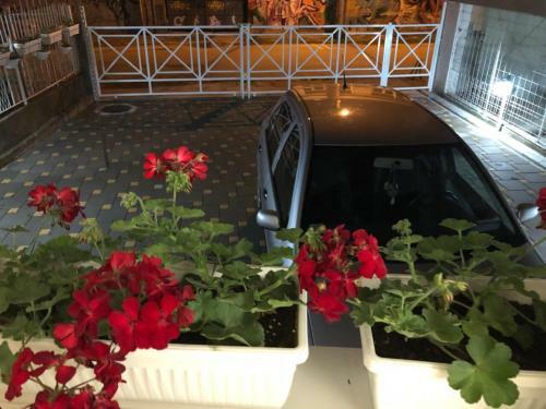 Apartamentos Royal Family