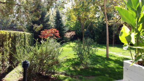 Apartment Lux 10