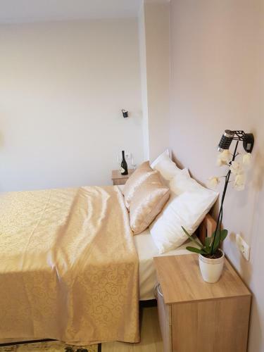 Apartamentos Fru?kogorska Terasa