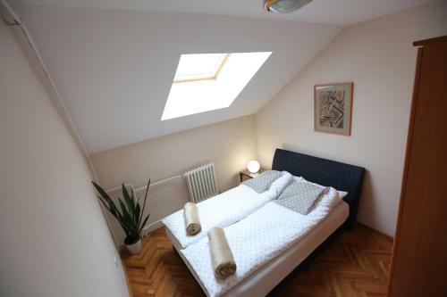 Magic Apartment