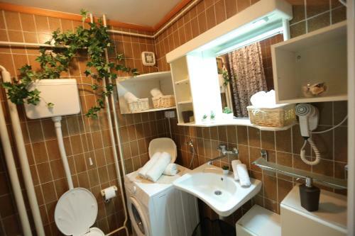 Magic Apartment
