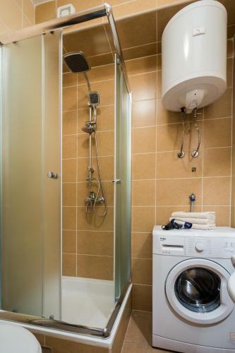 Central Evergreen Sage Apartment