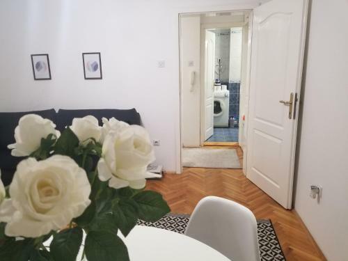 Apartman Jelena