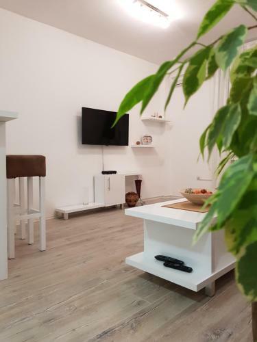 Apartment Gea 1