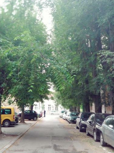 Masha Apartment
