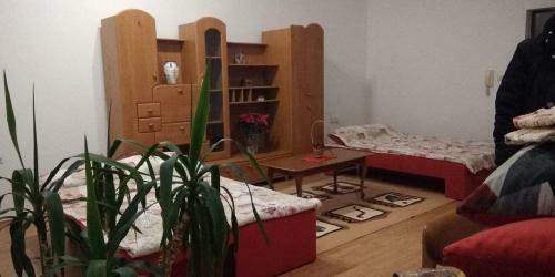 Apartment Ravangrad