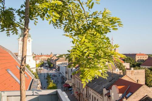 Apartment Penthouse Festina Lente