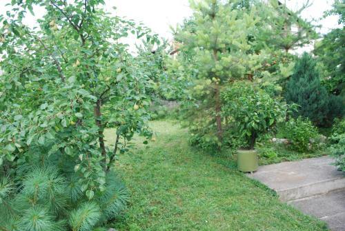 Hostal Guest House Ozon
