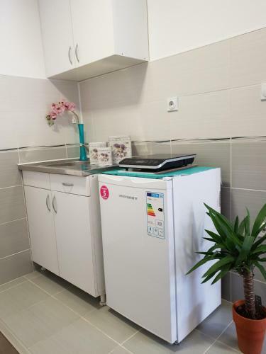 Hostal Vila Stefanovic