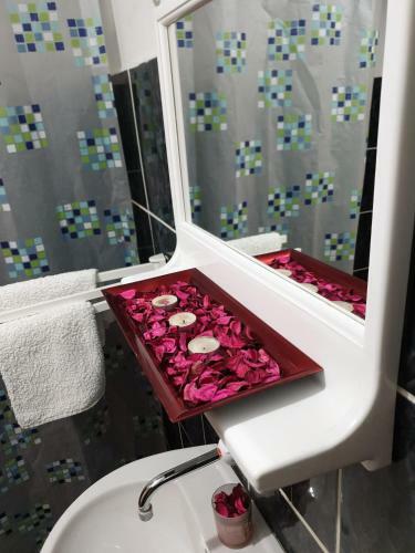 Hostal Vila Stefanovic