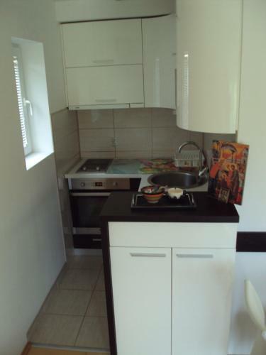 Apartamentos Alex Banja