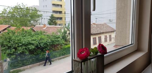 Dunav Apartments