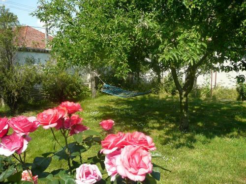 Hostal Guest House Tisza H�z
