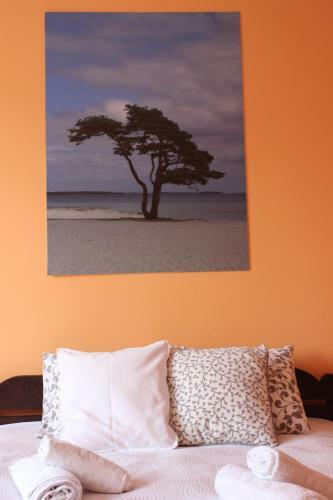 Apartman Ana
