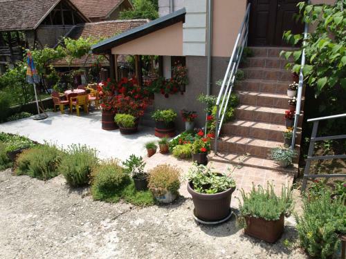 Hostal "pivnica I Smestaj Jovanovic"- Rogljevacke Pivnice