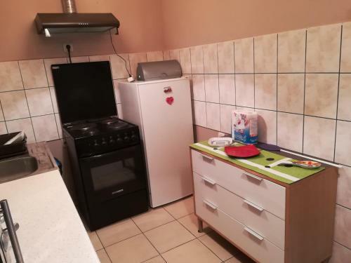 Apartment Branicevska 1