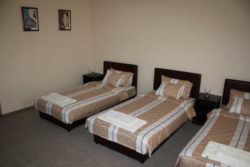 Hotel Feniks Po?arevac