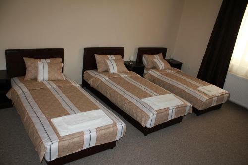 Hotel Feniks Po?arevac