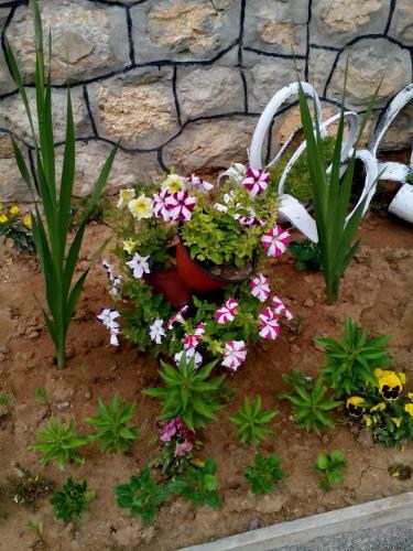 Hostal Guest House Vila Banjica