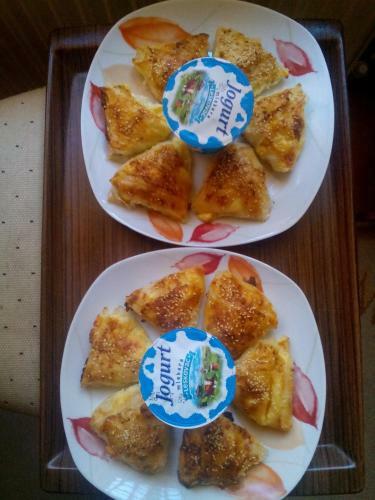 Hostal Guest House Vila Banjica