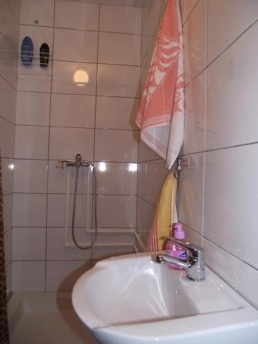 Bed & Breakfast Vila Milenovic Rajacke Pivnice