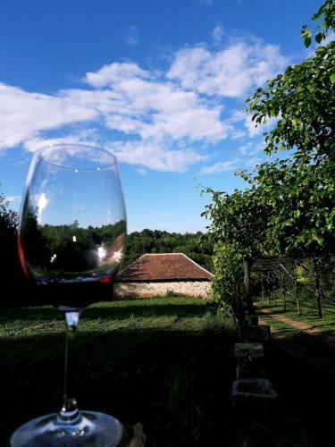 Bed & Breakfast Vila Milenovic Rajacke Pivnice