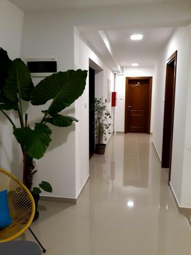 Garni Hotel Vidi?