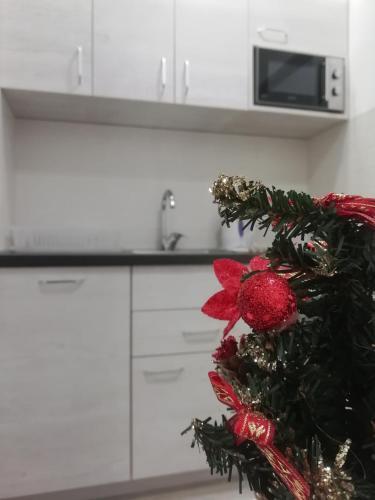 Apartman Centar 2