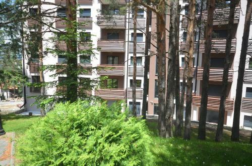 Apartment Pino Bianco