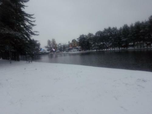 Apartamento Studio Zorica