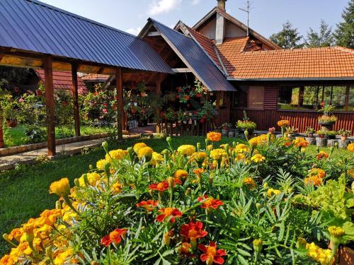Hostal Guesthouse Ramovi?
