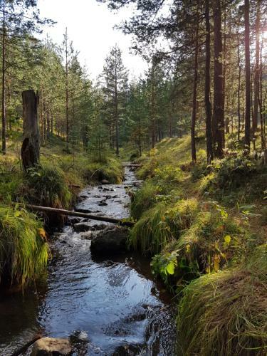 Zlatibor Apartmani Dm Tornik