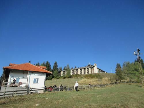 Hostal Guesthouse Borovi