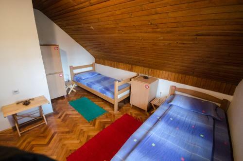 Tara Hostel & Hiking Center