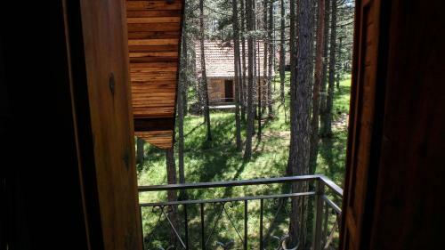 Tara Hostel & Hiking Center