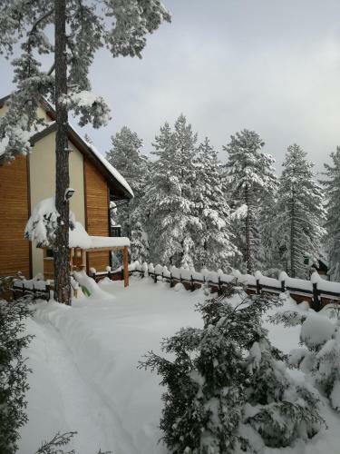Lodge Apartmani Sredojevic