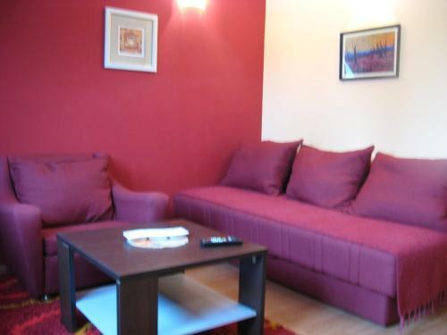 Apartments Tara Viva