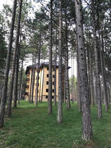 Zlatibor Apartmani Jakovljevic