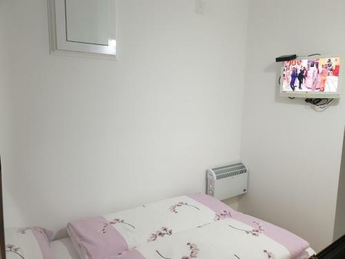 Apartment Todorovic