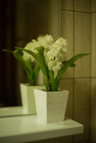 Apartman Gledovic 1