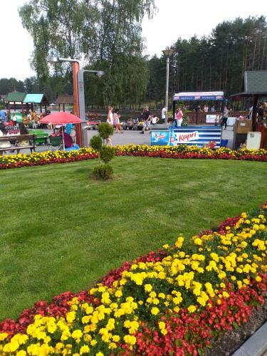 Apartman Lisa Zlatibor