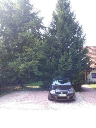 Apartmani U Borovoj ?umi